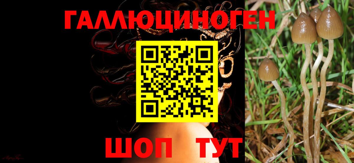 Галлюциногенные грибы Psilocybine cubensis  Вход с VPN  где найти наркотики  Ханты-Мансийск 